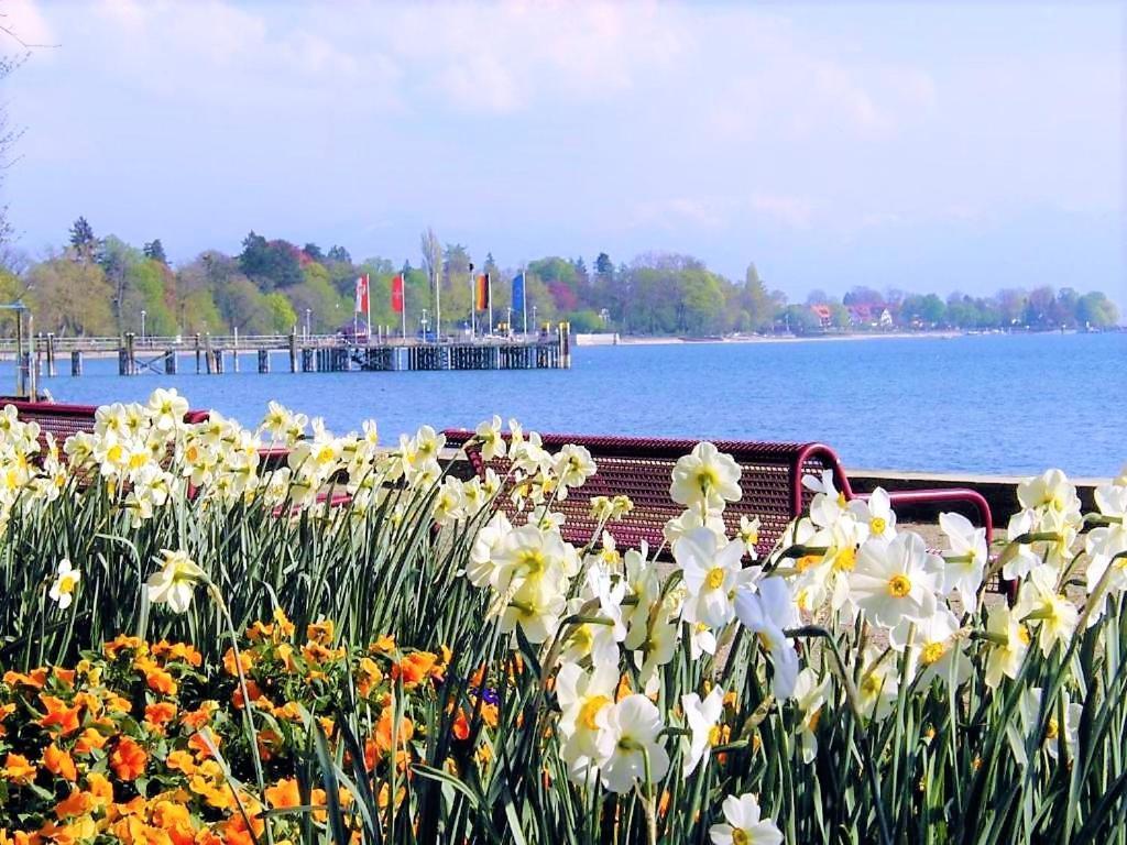 Bodensee Apartment Kressbronn "Seeland" Kressbronn am Bodensee Eksteriør billede